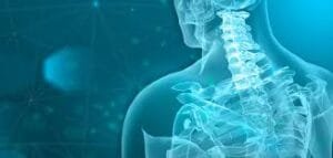 Breakthrough Scientists Grow First Human Spine in the Lab
